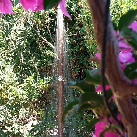 Calata Di 3*