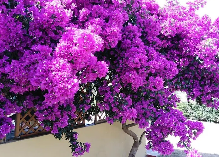 Bed and breakfast Calata Di 3*