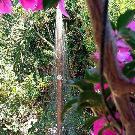 Calata Di 3*
